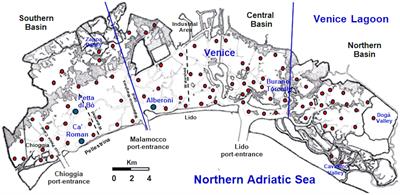 Biomass, production and growth strategies of the eelgrass Zostera marina, a relict cold-loving species: the Venice Lagoon as a study case